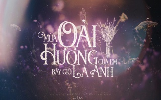 Tại Sao dùng Hoa Lavender khô làm quà tặng là ý nghĩa nhất?