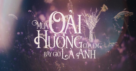 Tại Sao dùng Hoa Lavender khô làm quà tặng là ý nghĩa nhất?