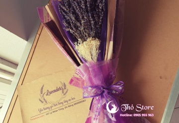 Những lợi ích bất ngờ của hoa Lavender cho sức khỏe của bạn