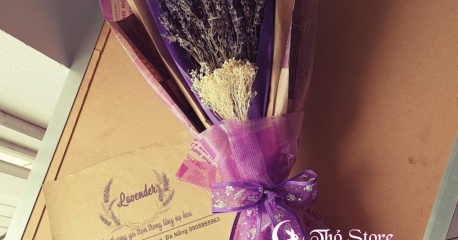 Những lợi ích bất ngờ của hoa Lavender cho sức khỏe của bạn