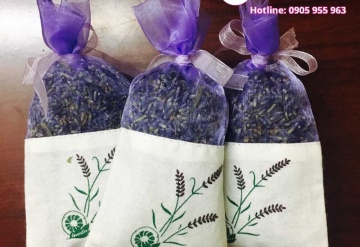 Hoa Lavender sự lựa chọn hoàn hảo cho sức khỏe của bạn