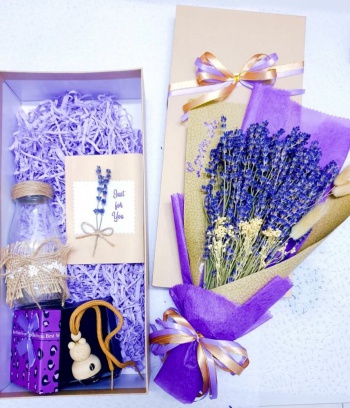 Combo Lavender + Tinh Dầu Lavender
