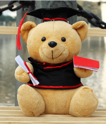 Gấu nâu tốt nghiệp