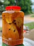 Mật ong rừng 0