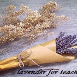 Quà tặng thầy cô dịp 20/11 cực độc từ hoa lavender – oải hương khô