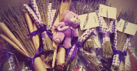 Những lý do mà bạn nên chọn hoa Lavender làm quà tri ân thầy cô dịp 20.11