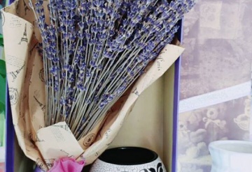 Món quà ý nghĩa từ hoa Lavender dịp lễ tình nhân valentine 14.2