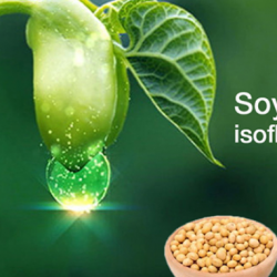 Những điều nên biết về chất isoflavone trong đậu nành