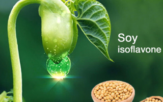 Những điều nên biết về chất isoflavone trong đậu nành