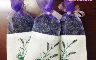 Hoa Lavender sự lựa chọn hoàn hảo cho sức khỏe của bạn