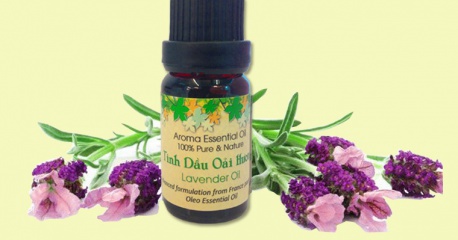 Tinh dầu Lavender - Những lợi ích không tưởng cho sức khỏe của bạn