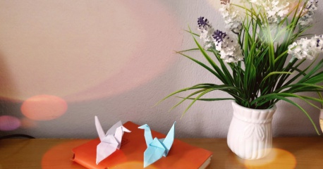 1000 con hạc giấy - món quà handmade đặc biệt ý nghĩa