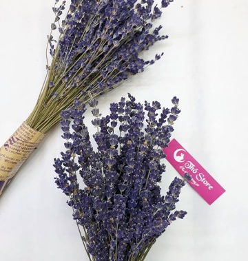 200 cành Lavender - oải hương khô chuẩn Pháp