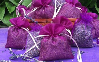 Bất ngờ từ lợi ích của Nụ Lavender oải hương khô