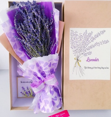 Bó lavender cầm tay kèm hộp