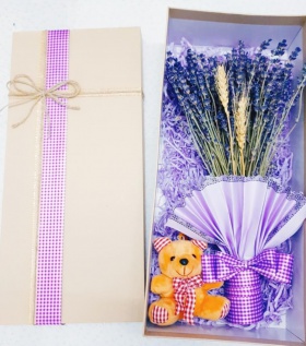 Combo Lavender + gấu bông mini xinh xắn