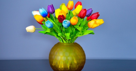 Hoa tulip sự hoàn hảo trong tình yêu