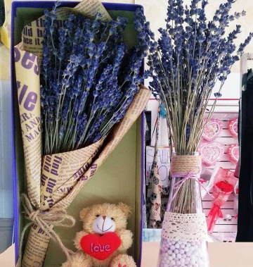 Hộp Hoa Lavender cao cấp kèm túi thơm (330 cành)