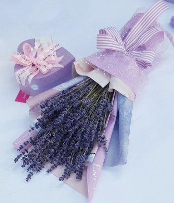 Lavender + Socola Valentine