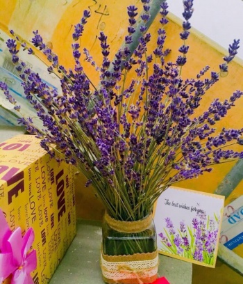 Lọ hoa Lavender để bàn cao cấp