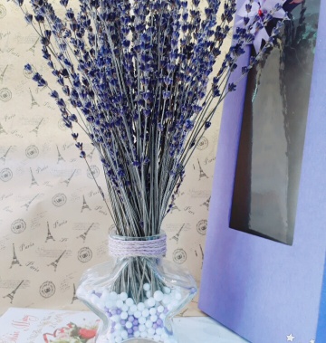 Lọ Hoa Lavender hình sao
