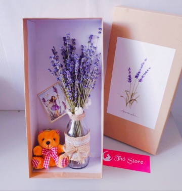 Lọ hoa lavender kèm gấu và hộp
