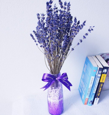 Lọ Lavender nhỏ để bàn