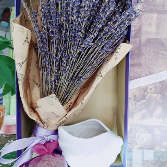 hop hoa lavender cao cap