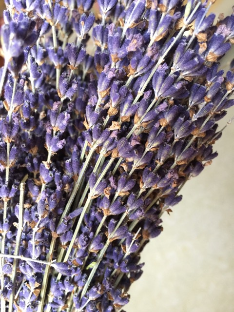 Hoa Lavender khô của Pháp