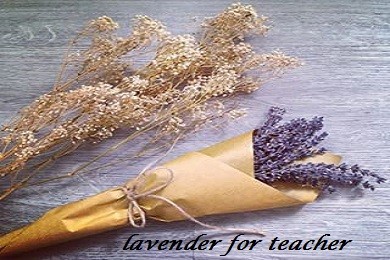 lavender cho ngày 20.11
